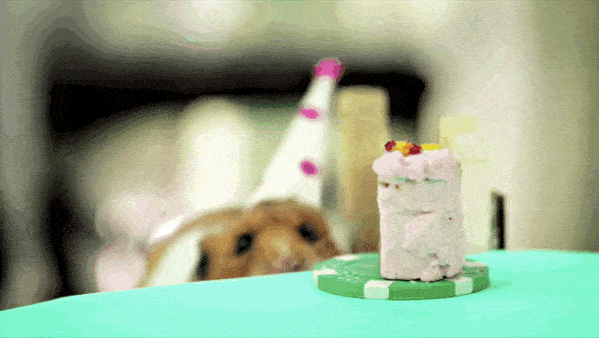 Birthday Cake
