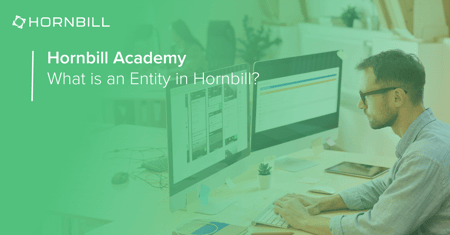 What is an Entity in Hornbill?