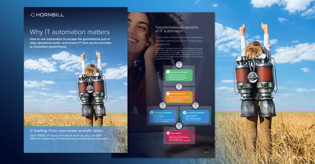2024_it_automation_report_social_wide