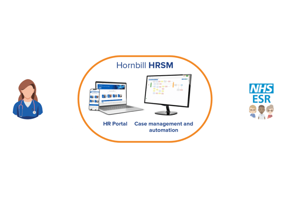 Website_half_500_diagram