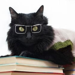 BYOD step 4: use existing knowledge and resources