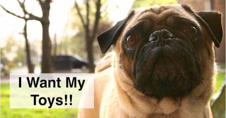 Exactly Why do ITSM Vendors Lead with ITIL?
