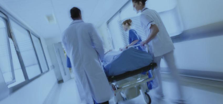 Hornbill Service Manager streamlines support for state-of-the-art Patient Records System