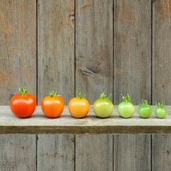 ITSM must evolve in line with consumer expectations
