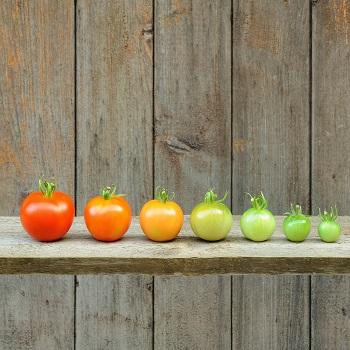 ITSM must evolve in line with consumer expectations